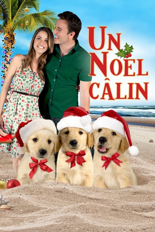 3 amis pour Noël FRENCH WEBRIP 720p 2011