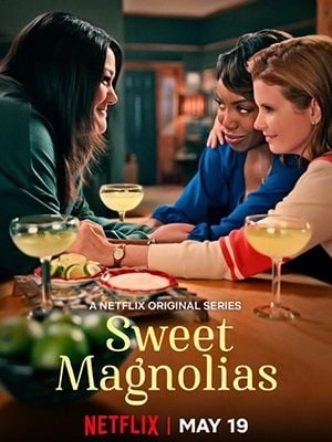 A l'ombre des magnolias - Sweet Magnolias Saison 2 FRENCH HDTV 1080p 2022