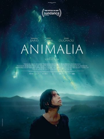 Animalia FRENCH WEBRIP 720p 2023 FRENCH WEBRIP 720p 2023