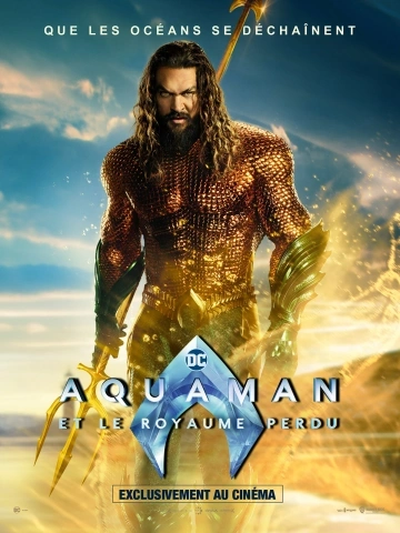 Aquaman et le Royaume perdu - Aquaman and the Lost Kingdom FRENCH WEBRIP 720p 2023