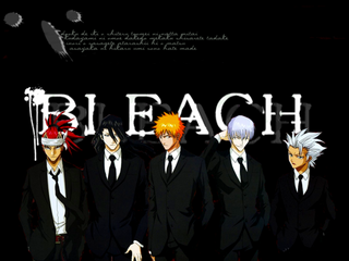 Bleach 366 VOSTFR HD