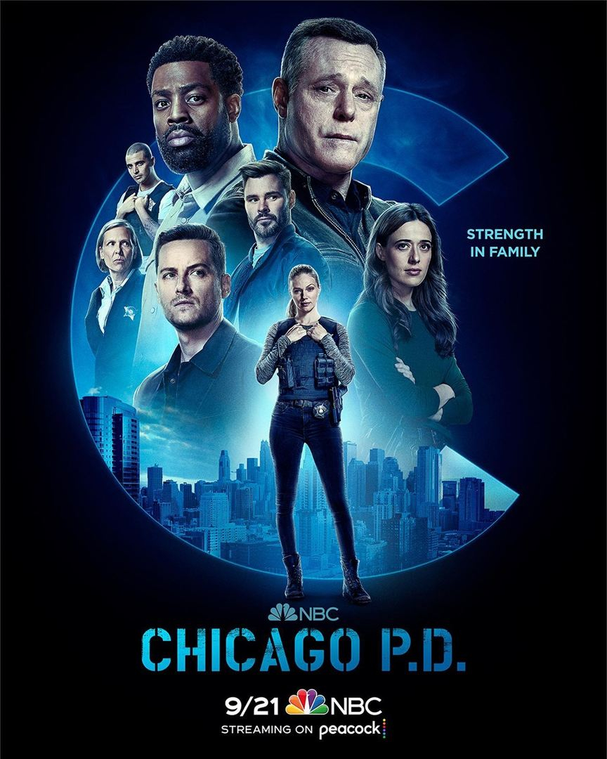 Chicago Police Department S10E11 VOSTFR HDTV