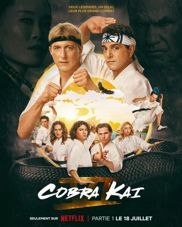 Cobra Kai S06E06 FRENCH HDTV 2024