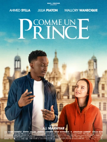 Comme un prince FRENCH WEBRIP 1080p 2023