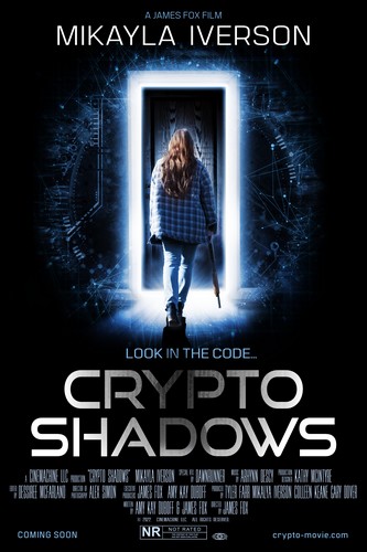 Crypto Shadows FRENCH WEBRIP LD 720p 2024