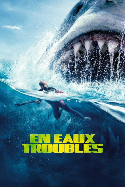 En eaux troubles - The Meg MULTI TRUEFRENCH FULL BLURAY 3D 2018 MULTI FULL BLURAY 3D 2018