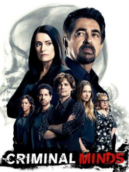 Esprits criminels (Criminal Minds) S14E11 VOSTFR