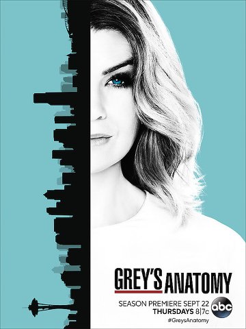 Grey's Anatomy S13E03 VOSTFR HDTV