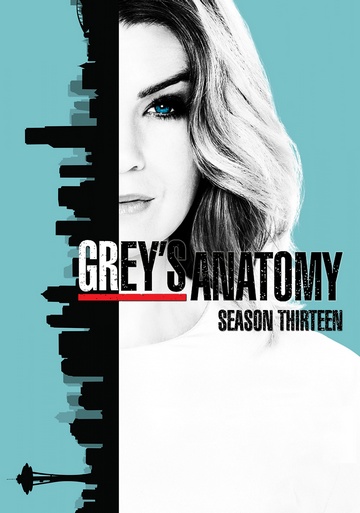 Grey's Anatomy S13E04 FRENCH HDTV