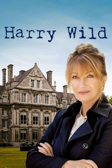 Harry Wild FRENCH S02E02 HDTV 2023