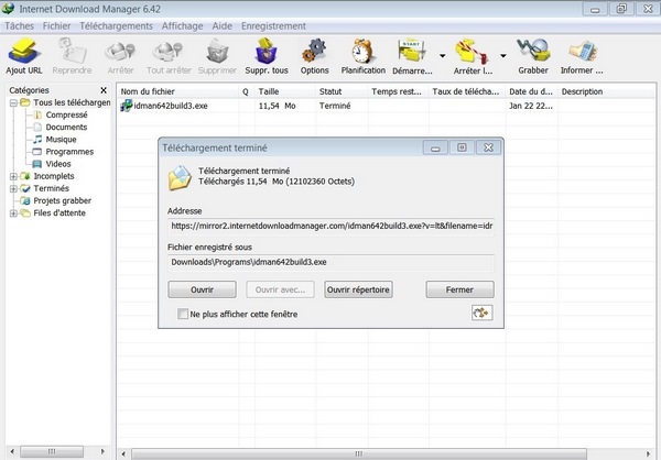 IDM Internet Download Manager 6.42.9 MULTI BAT 2024