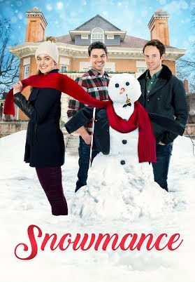 Le fiancé de glace FRENCH WEBRIP 2017