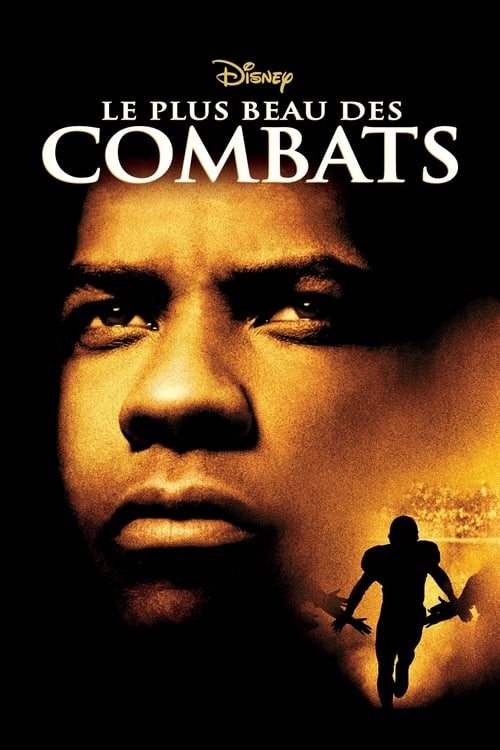 Le plus beau des combats MULTI TRUEFRENCH DVDRIP 2000