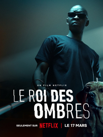 Le Roi des Ombres FRENCH WEBRIP x264 2023