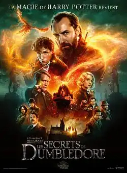 Les Animaux Fantastiques : les Secrets de Dumbledore TRUEFRENCH WEBRIP 1080p 2022