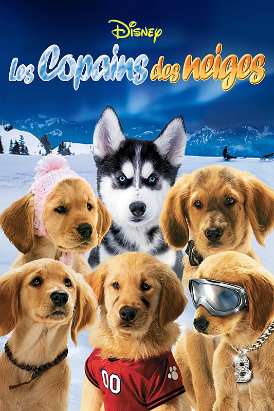 Les Copains des neiges FRENCH DVDRIP x264 2008