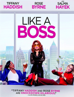 Like a Boss TRUEFRENCH BluRay 1080p 2020