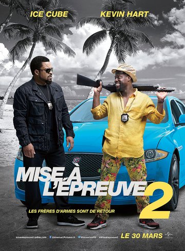 Mise à l'épreuve 2 FRENCH DVDRIP 2016