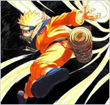 Naruto Shippuden 208 VOSTFR