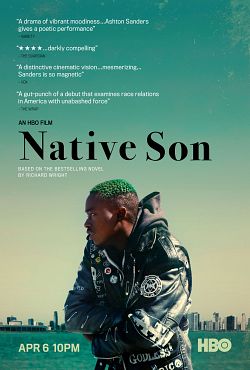 Native Son FRENCH WEBRIP 720p 2019