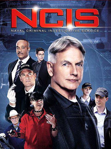 NCIS S14E12 VOSTFR HDTV