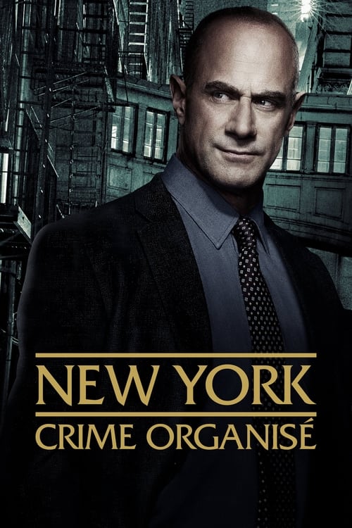 New York : Crime Organisé S04E06 MULTI HDTV 1080p 2024