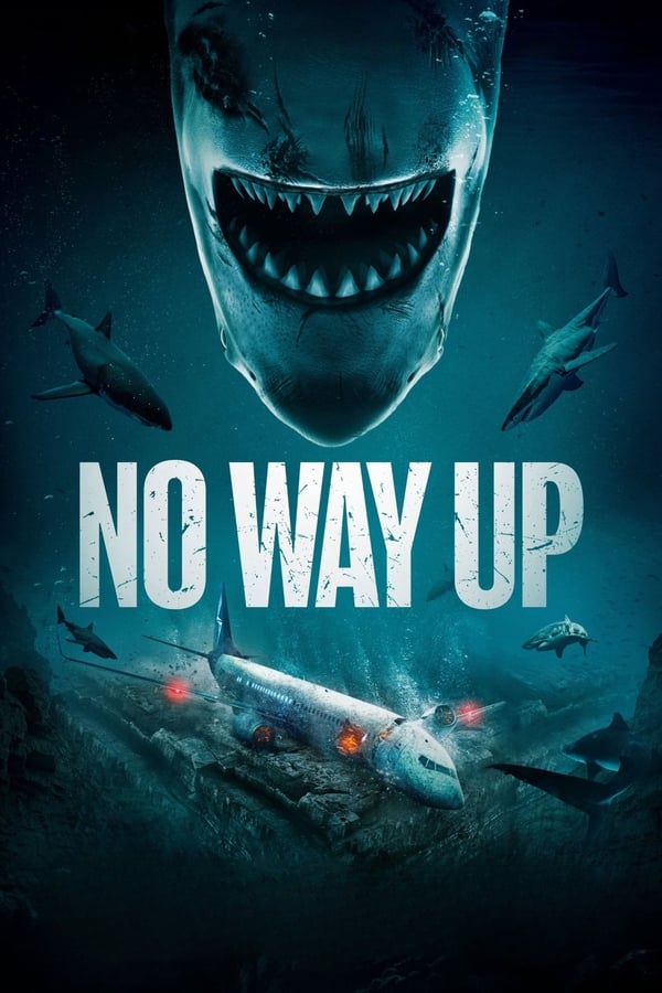 No Way Up FRENCH DVDRIP 2024