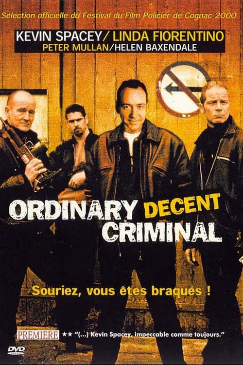 Ordinary Decent Criminal FRENCH HDLight 1080p 2000