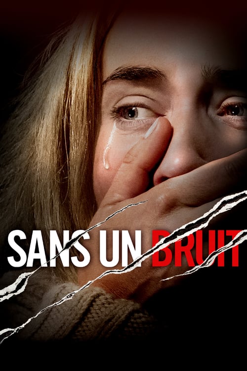 Sans un bruit FRENCH BluRay 1080p 2018