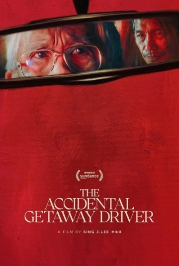 The Accidental Getaway Driver MULTI WEBRIP 1080p 2023