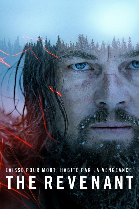 The Revenant TRUEFRENCH DVDRIP 2015