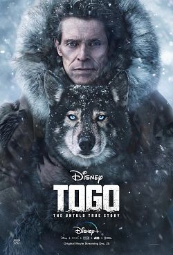 Togo FRENCH WEBRIP 2019